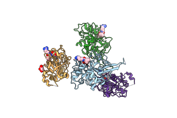 3BPF image