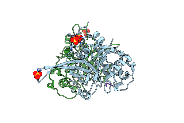 3BPM image