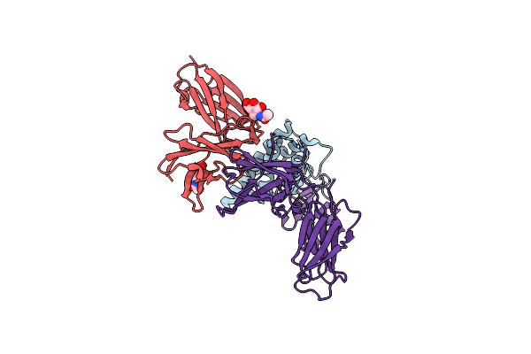 3BPN image
