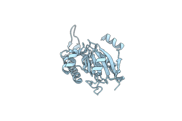 3BPP image