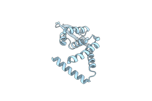 3BPV image