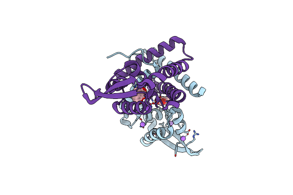 3BPX image