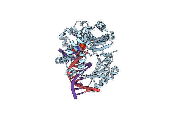 3BQ1 image