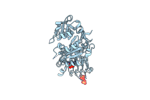 3BRK image