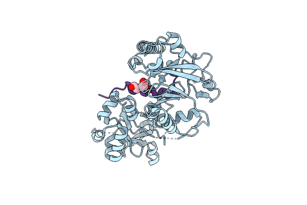 3BTP image