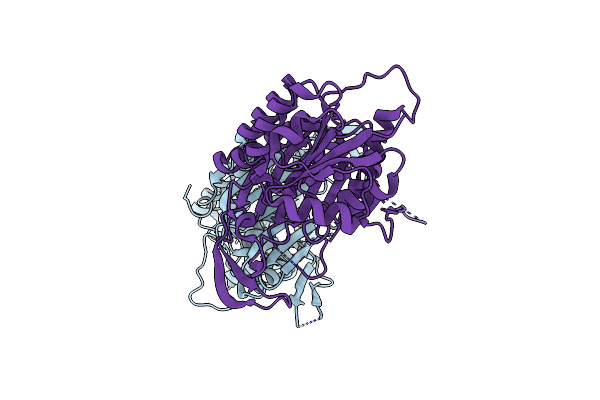 3BTV image