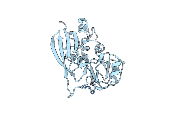 3BVG image