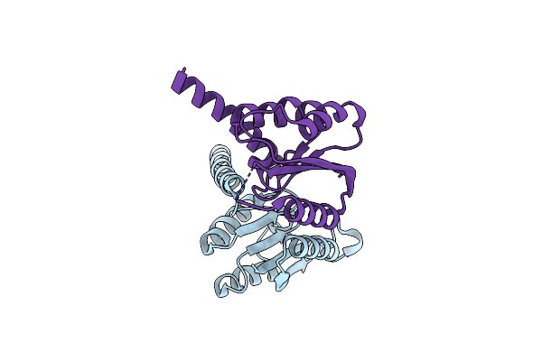 3BVP image