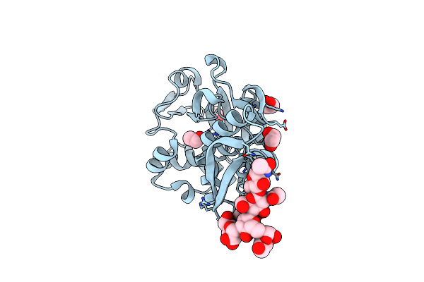 3BWH image