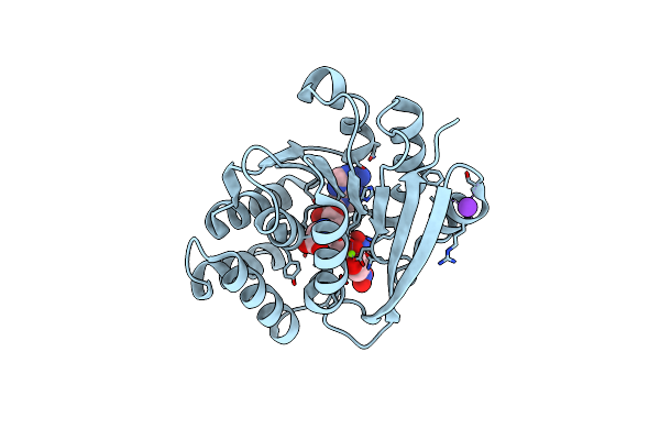 3BWM image