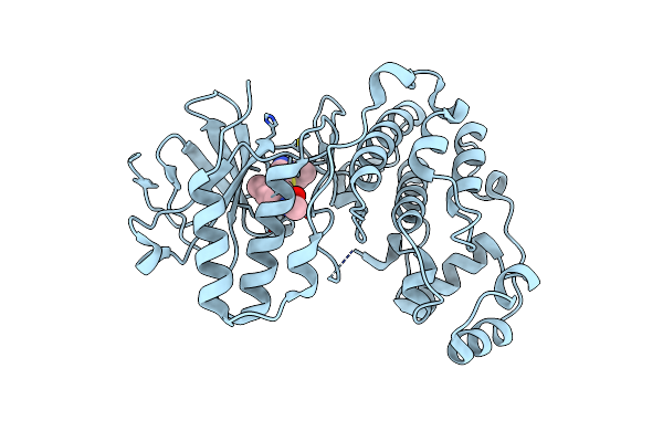 3BX5 image