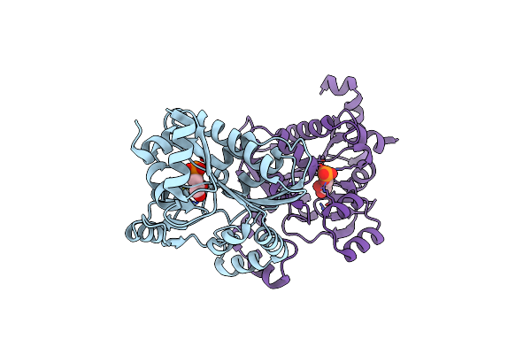 3BXE image