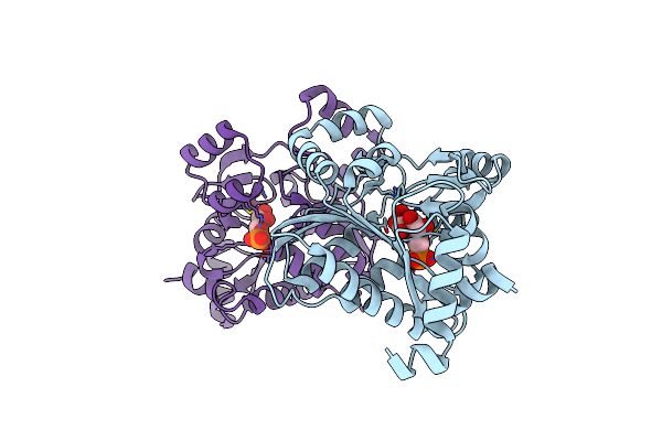 3BXF image