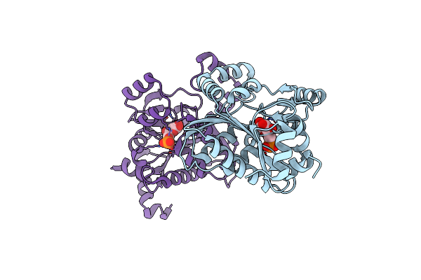 3BXG image
