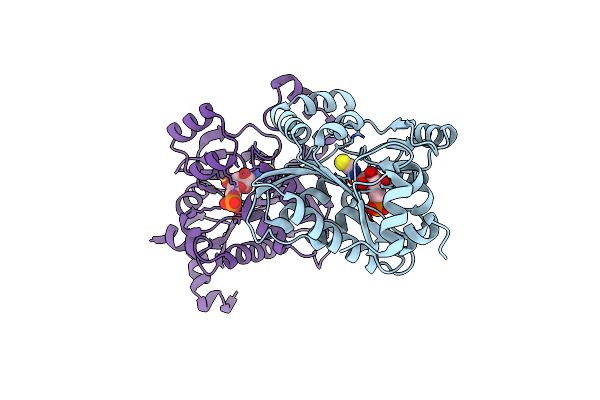 3BXH image