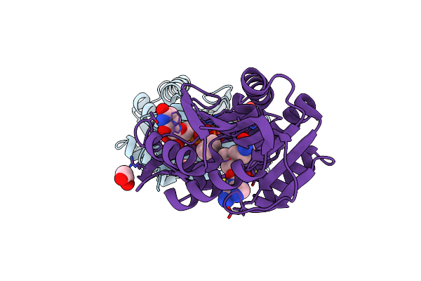 3BXO image
