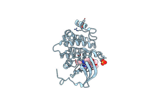 3BYM image