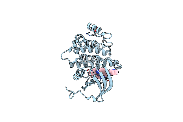 3BYO image