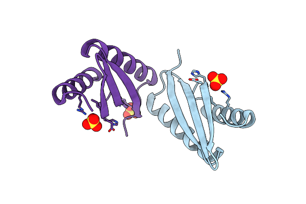 3BYP image