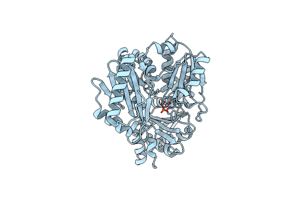 3C04 image