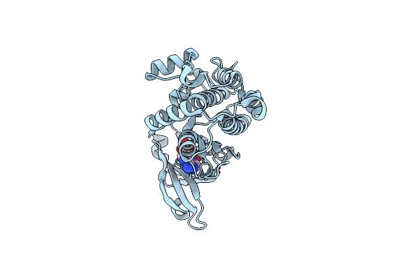 3C0I image