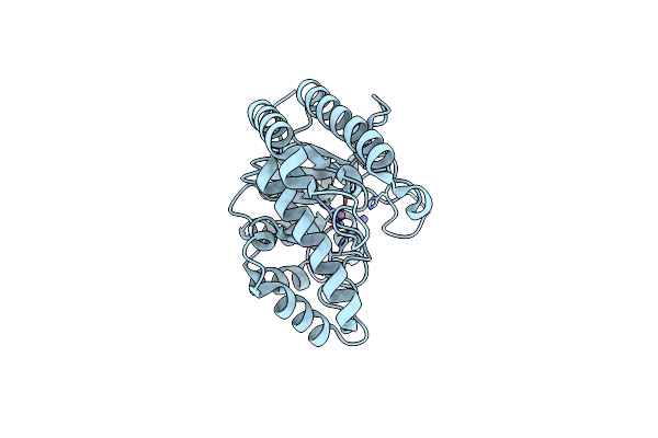 3C0S image