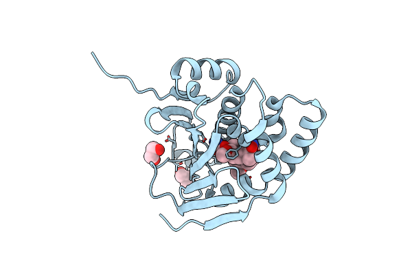 3C11 image