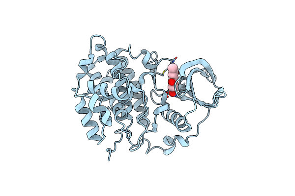 3C13 image