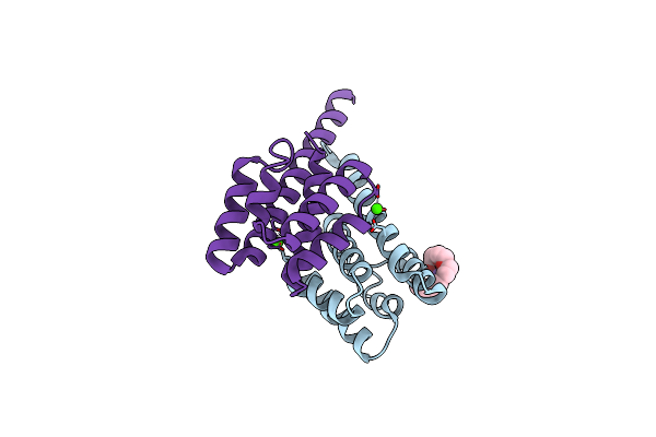 3C1Q image