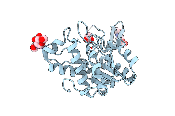 3C1U image