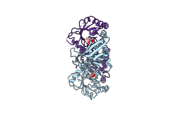 3C2R image