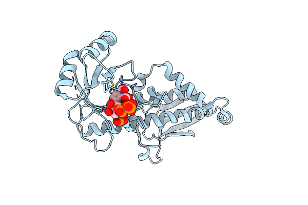 3C2V image