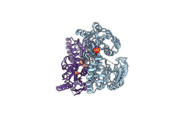 3C3B image