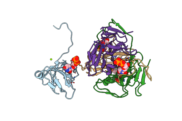 3C3I image
