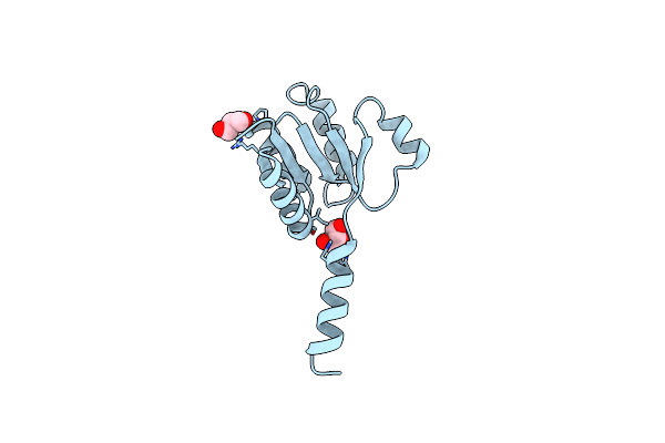 3C3M image