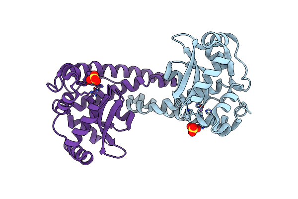 3C3S image