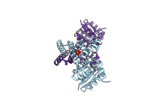 3C3W image