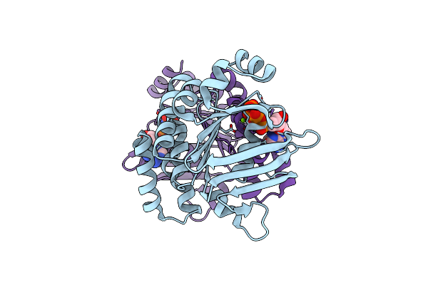3C41 image
