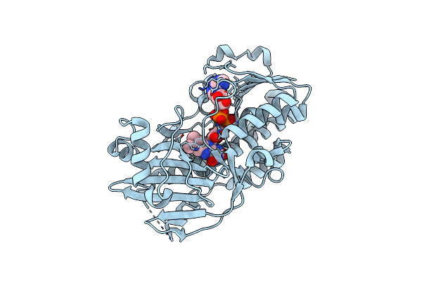 3C4A image