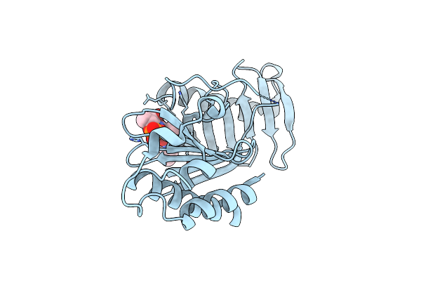 3C5L image