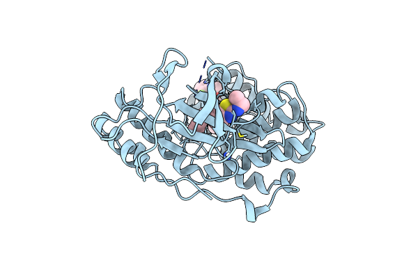 3C5U image