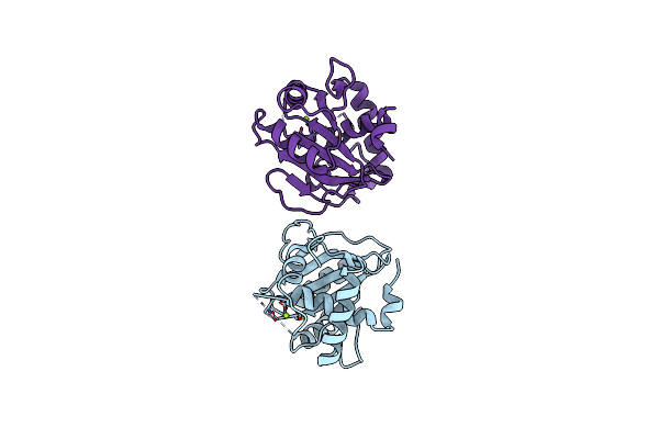 3C6H image