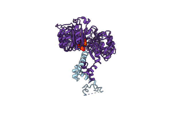 3C6O image