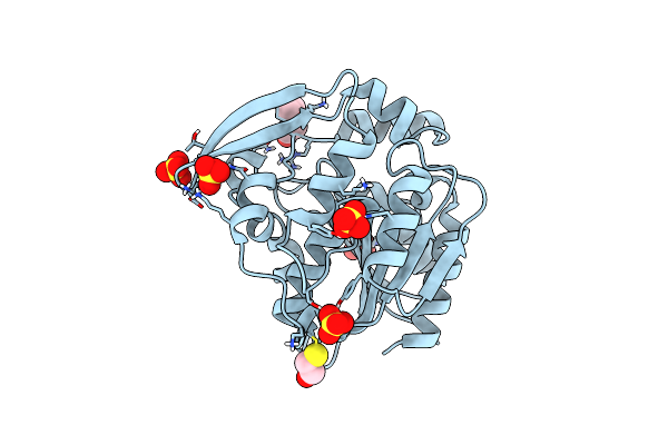 3C6X image