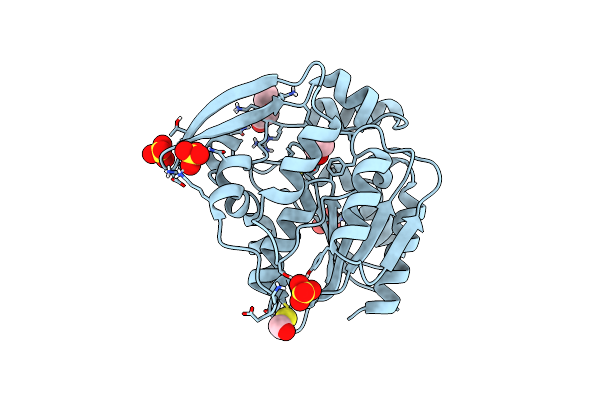 3C6Z image