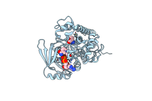 3C7C image