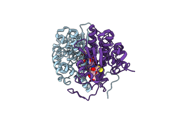 3C8E image