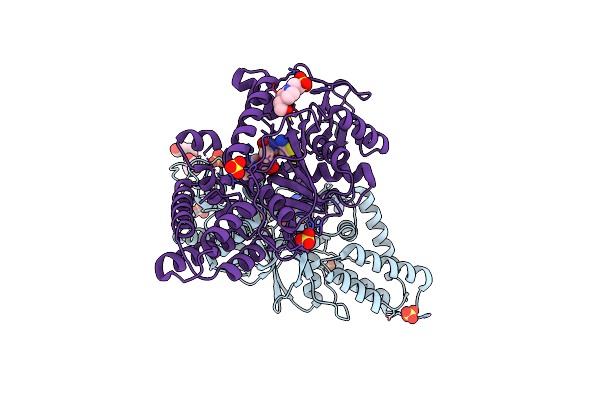 3C8Z image