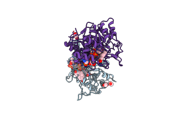 3CAS image