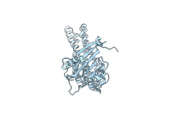 3CAX image